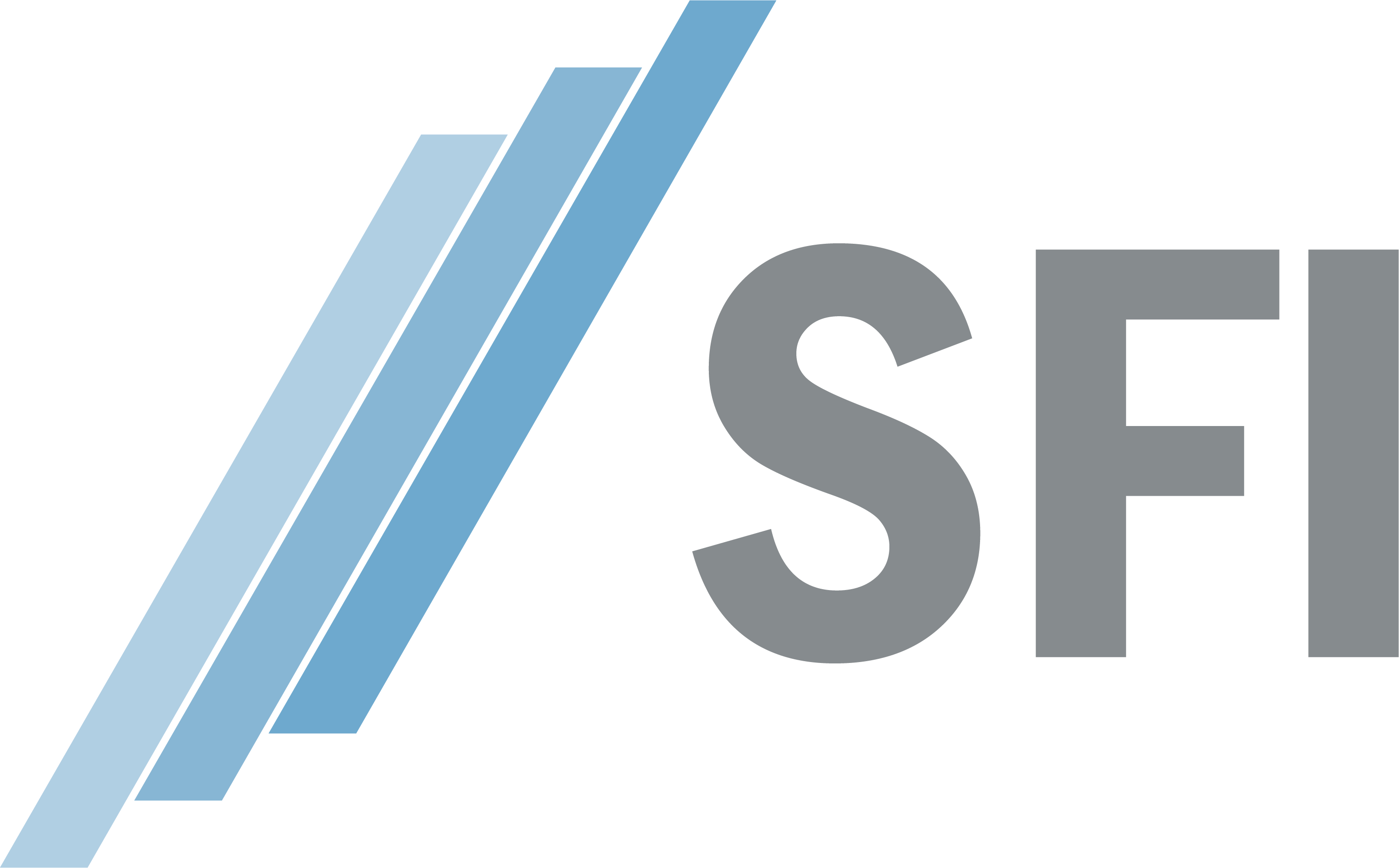 SFI Kurumsal Bilgi Sistemleri
